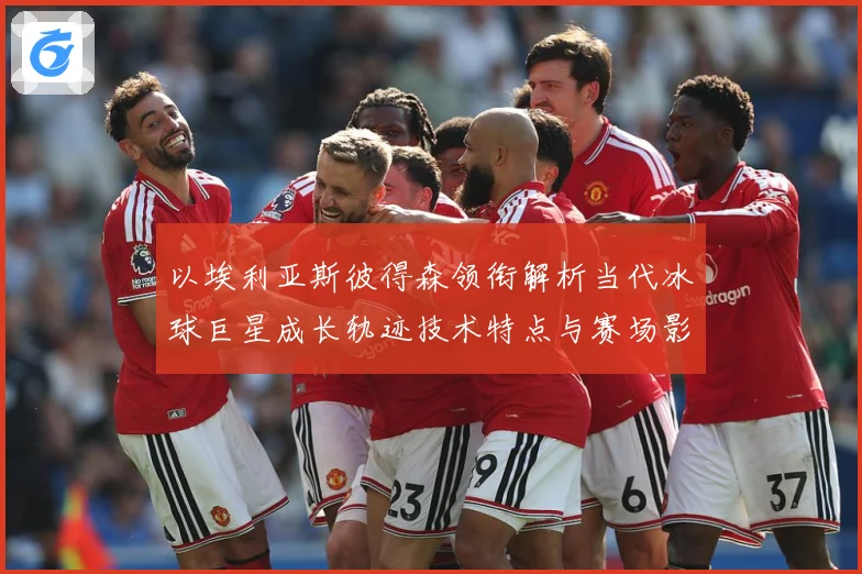 以埃利亚斯彼得森领衔解析当代冰球巨星成长轨迹技术特点与赛场影响力-深度解析